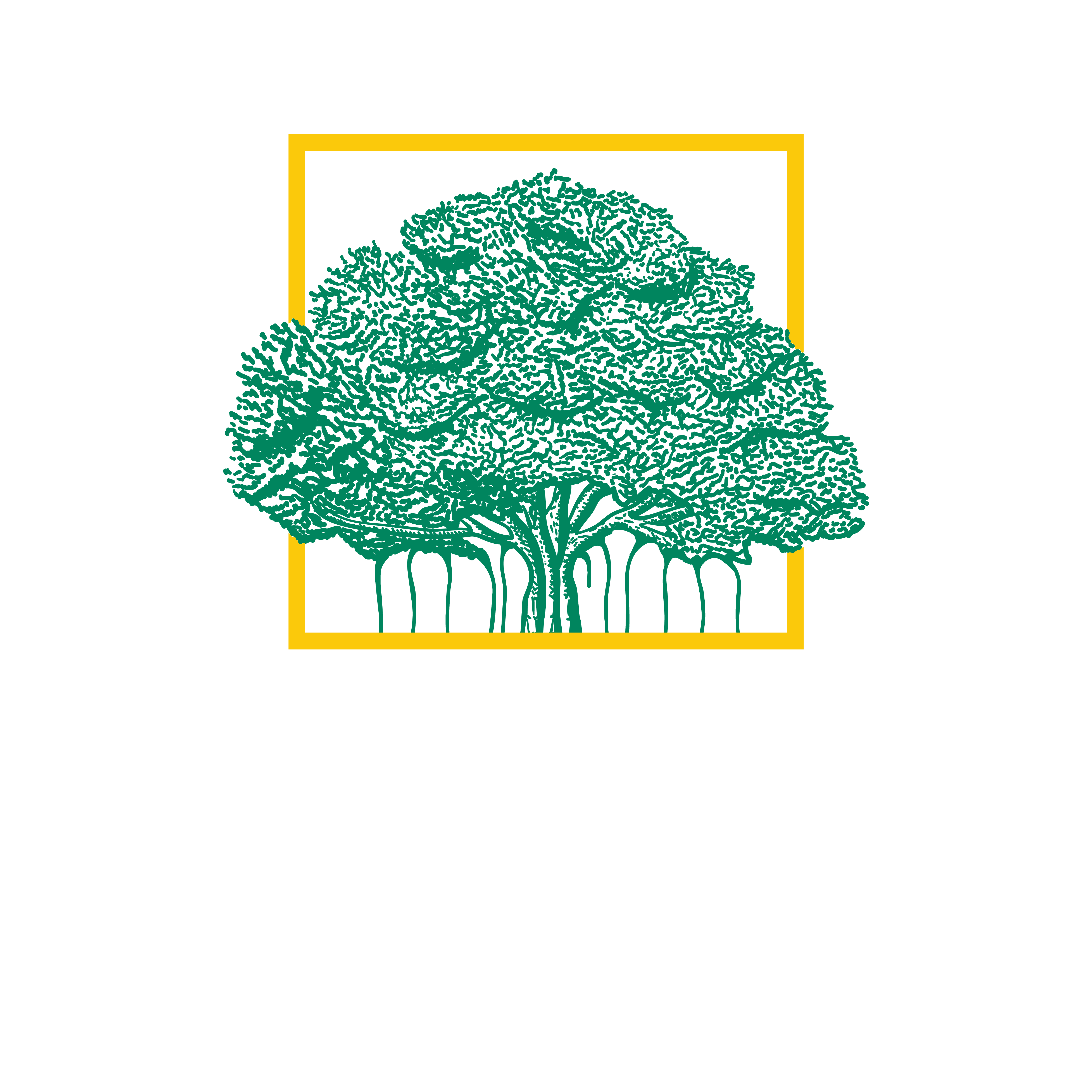 Banyan Enterprises